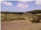 325 Bungaree Road, King Island TAS 7256