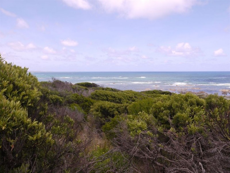 325 Bungaree Road, King Island TAS 7256