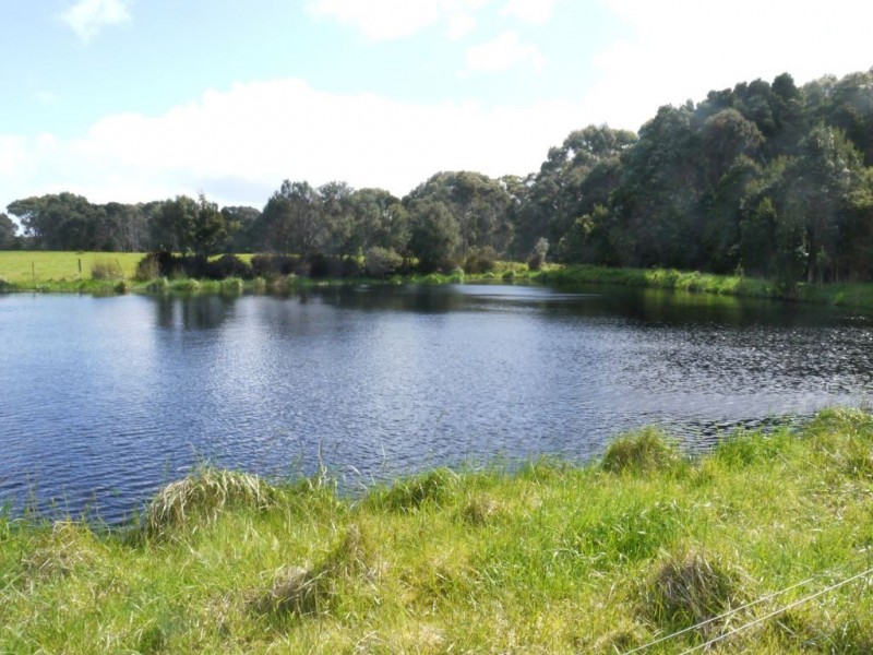 325 Millers Road, Lymwood TAS 7256