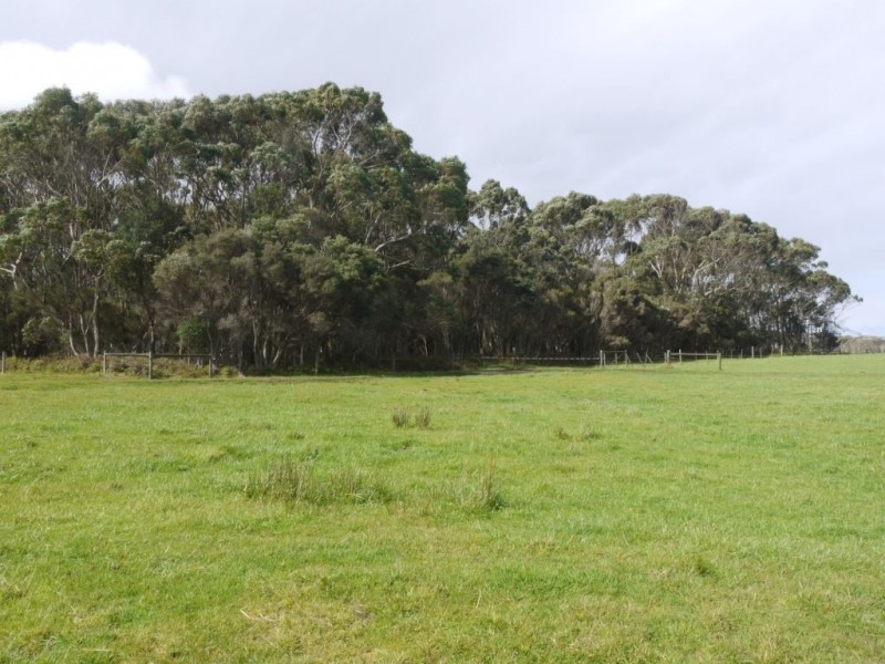 325 Millers Road, Lymwood TAS 7256