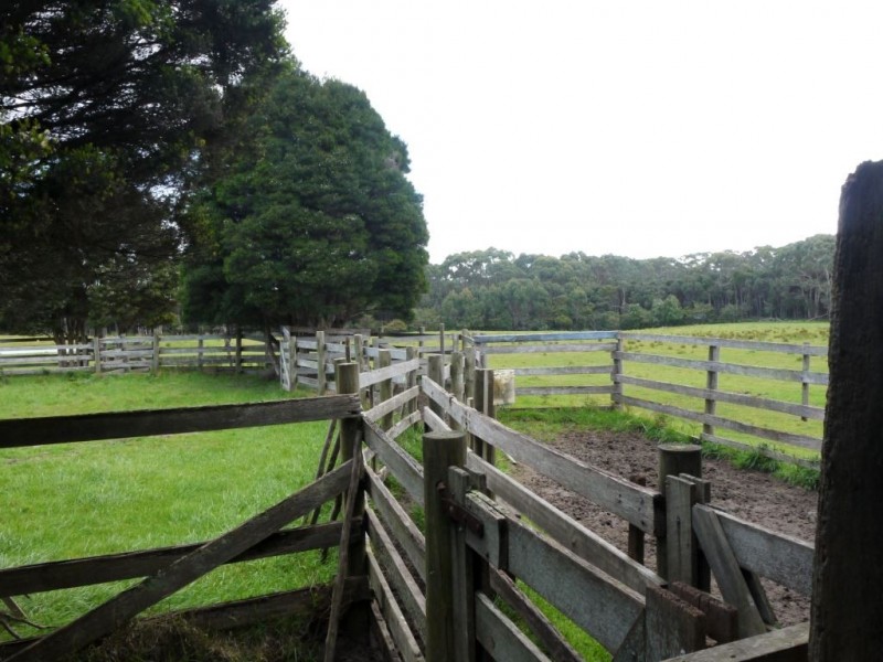 325 Millers Road, Lymwood TAS 7256