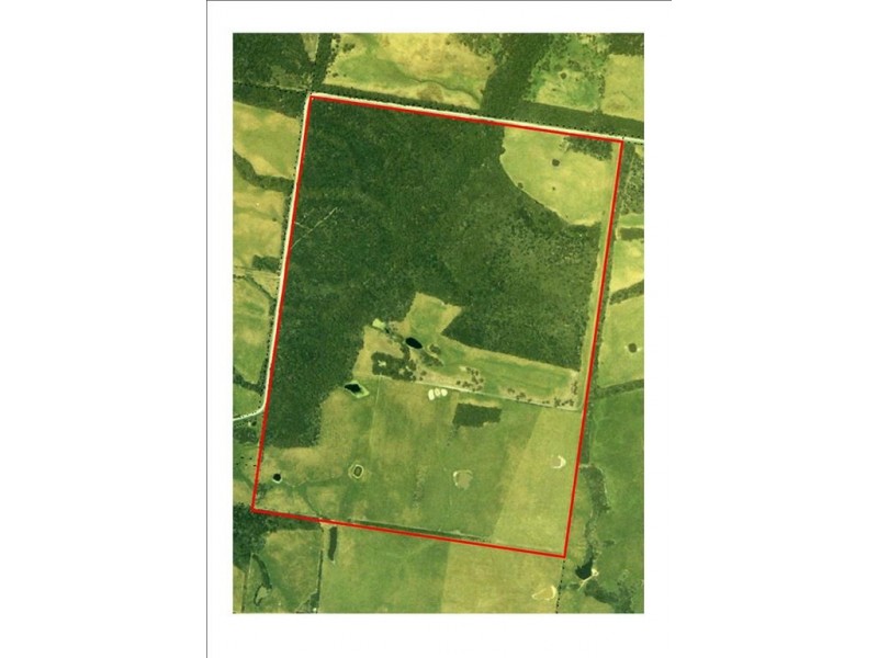 325 Millers Road, Lymwood TAS 7256