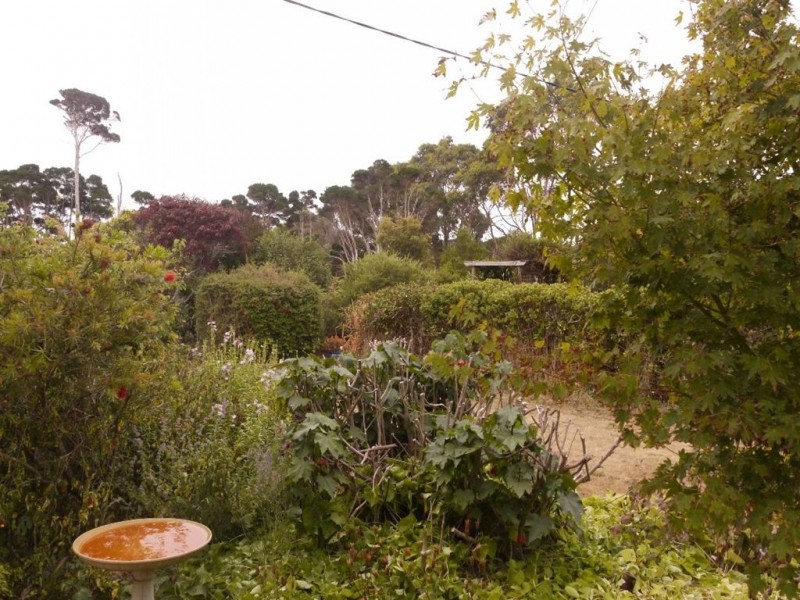 344 Robbins Road, Pegarah TAS 7256
