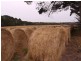 344 Robbins Road, Pegarah TAS 7256