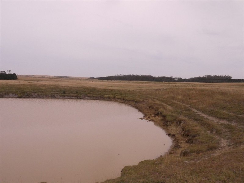 344 Robbins Road, Pegarah TAS 7256
