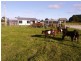 298 Adams Road, Loorana TAS 7256