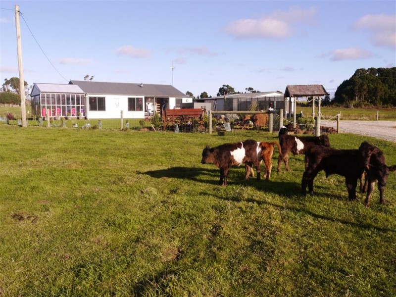 298 Adams Road, Loorana TAS 7256
