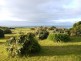 5 The Esplanade, Naracoopa TAS 7256