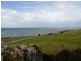2 The Esplanade, Naracoopa TAS 7256