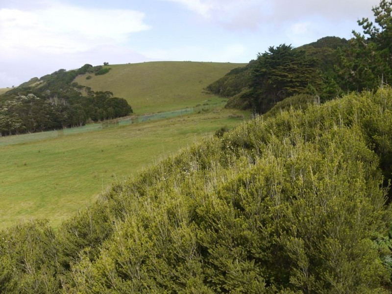 2 The Esplanade, Naracoopa TAS 7256