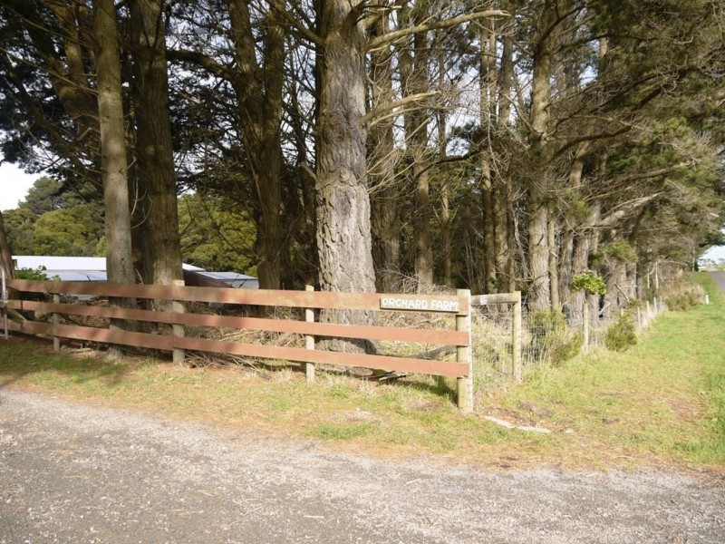 538 Mount Stanley Loop, Lymwood TAS 7256