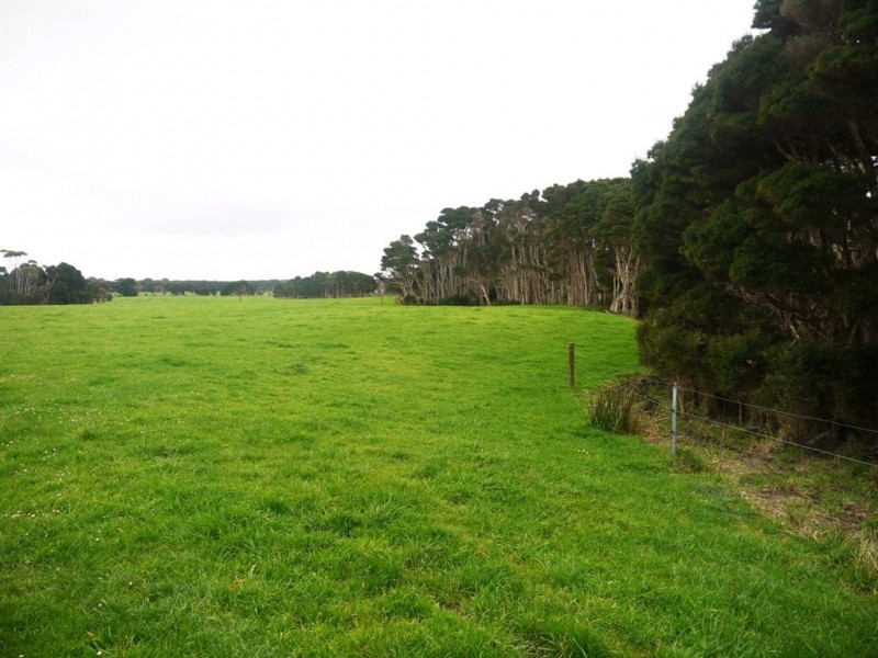 767 Mount Stanley Road, Lymwood TAS 7256