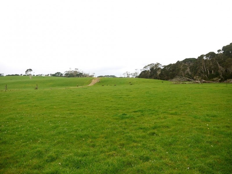 767 Mount Stanley Road, Lymwood TAS 7256