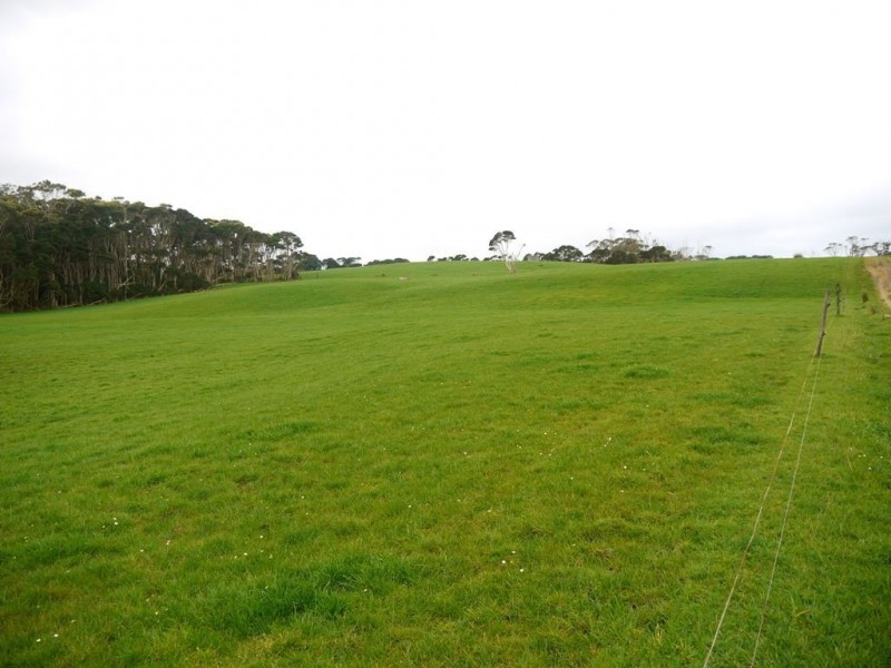 767 Mount Stanley Road, Lymwood TAS 7256