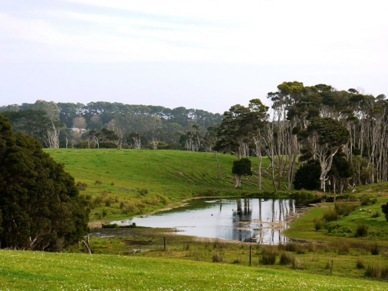 538 Mount Stanley Road, Lymwood TAS 7256