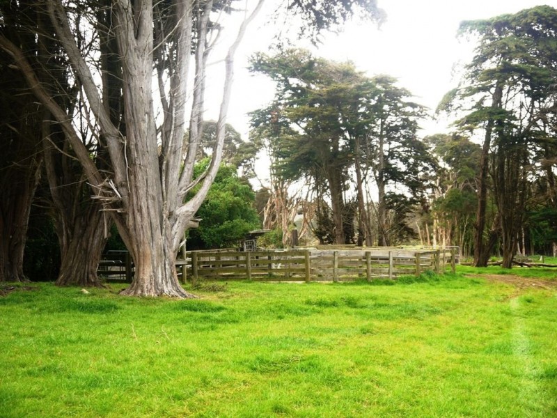 538 Mount Stanley Road, Lymwood TAS 7256