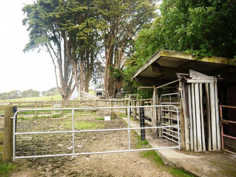 538 Mount Stanley Road, Lymwood TAS 7256