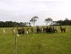411 Fraser road, Currie TAS 7256