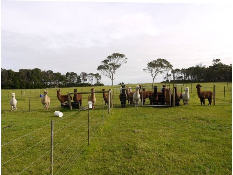 411 Fraser road, Currie TAS 7256