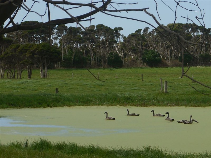 232 Fraser Road, King Island TAS 7256