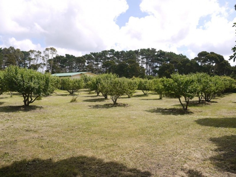 232 Fraser Road, King Island TAS 7256