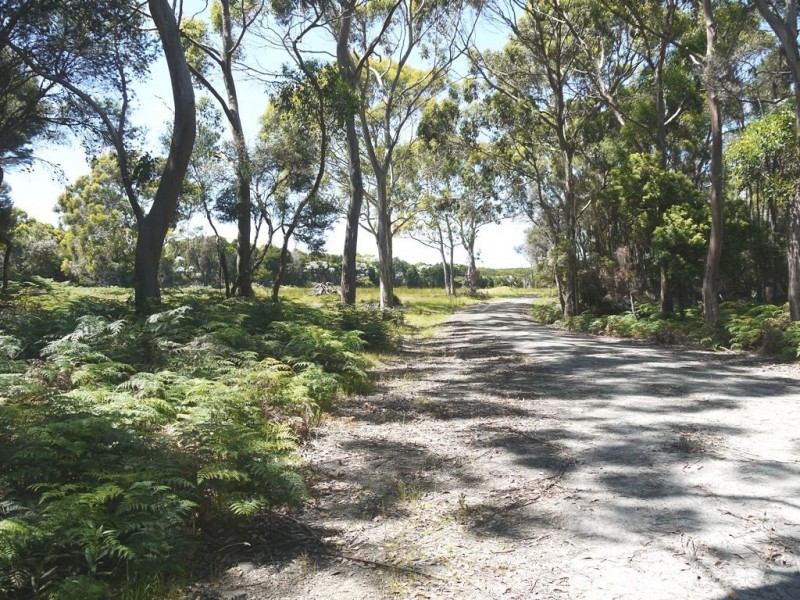 500 Millers Road, Lymwood TAS 7256