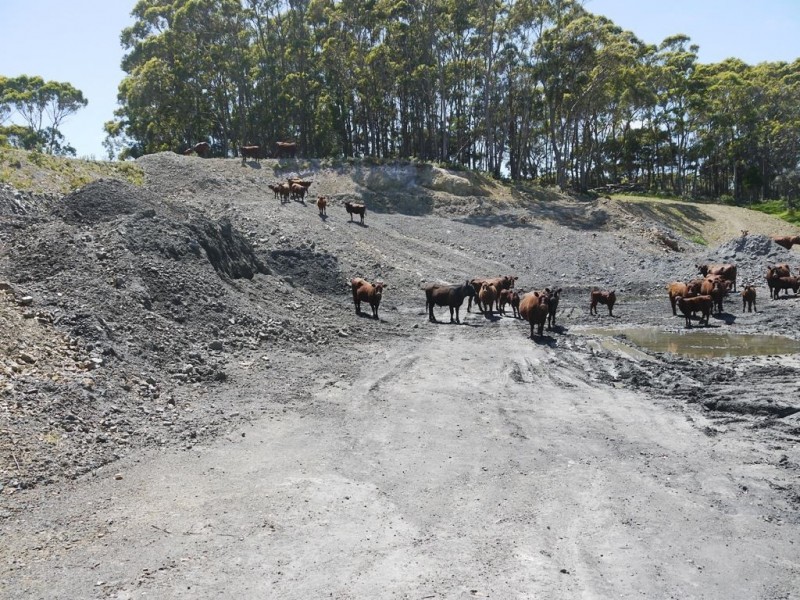 500 Millers Road, Lymwood TAS 7256