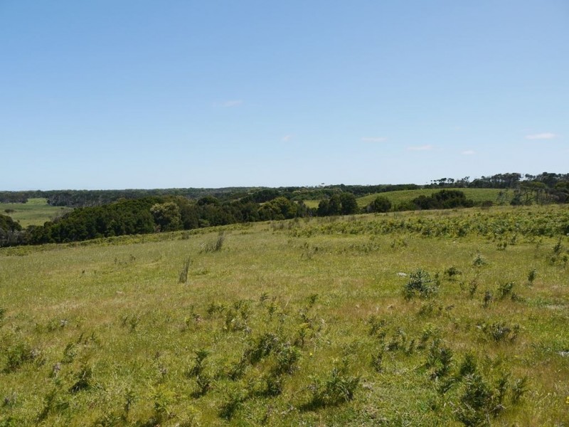 500 Millers Road, Lymwood TAS 7256