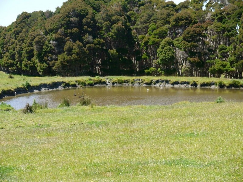 500 Millers Road, Lymwood TAS 7256