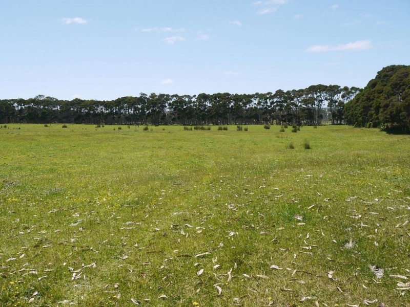 500 Millers Road, Lymwood TAS 7256