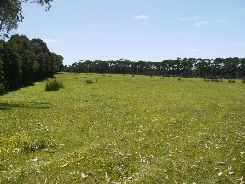 500 Millers Road, Lymwood TAS 7256