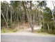 2 Millwood Road, Naracoopa TAS 7256