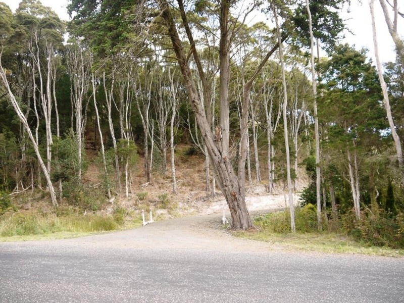 2 Millwood Road, Naracoopa TAS 7256