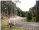 2 Millwood Road, Naracoopa TAS 7256