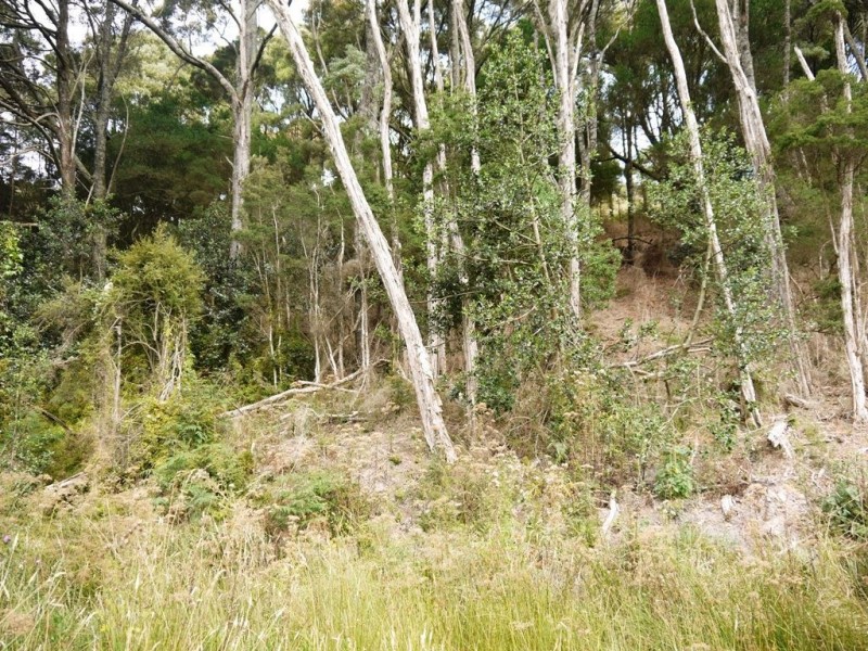 2 Millwood Road, Naracoopa TAS 7256