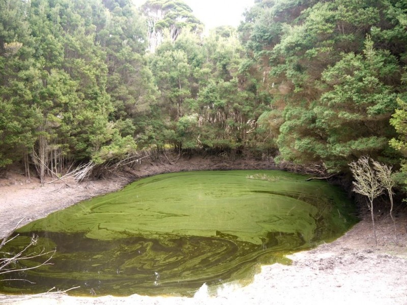 143 The Esplanade, Naracoopa TAS 7256