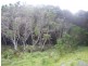 Lot13-15 Stephenson Street, Naracoopa TAS 7256