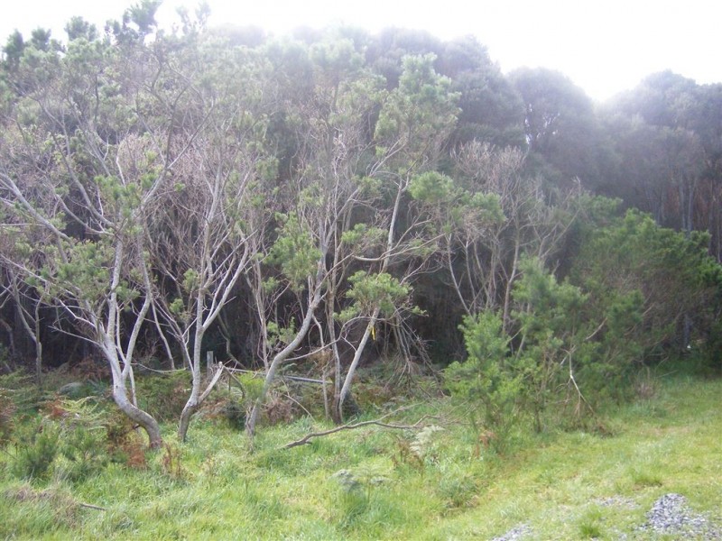 Lot13-15 Stephenson Street, Naracoopa TAS 7256