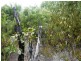10000 Reekara Road, Reekara TAS 7256