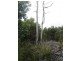 10000 Reekara Road, Reekara TAS 7256