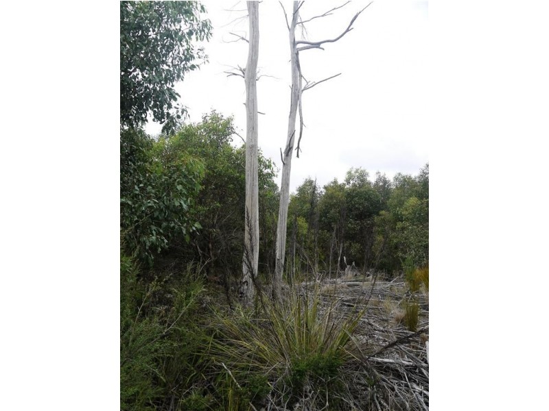 10000 Reekara Road, Reekara TAS 7256