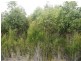 10000 Reekara Road, Reekara TAS 7256