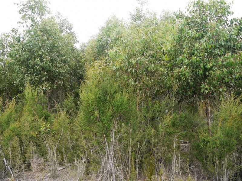 10000 Reekara Road, Reekara TAS 7256