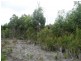 10000 Reekara Road, Reekara TAS 7256