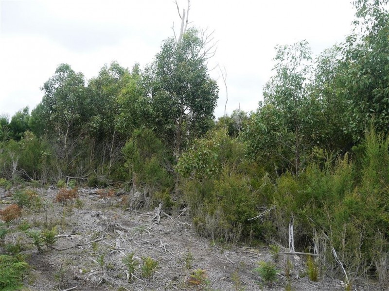 10000 Reekara Road, Reekara TAS 7256