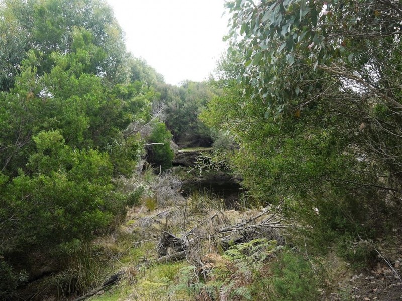 10000 Reekara Road, Reekara TAS 7256