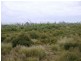10000 Reekara Road, Reekara TAS 7256
