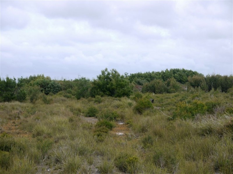 10000 Reekara Road, Reekara TAS 7256