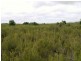 10000 Reekara Road, Reekara TAS 7256
