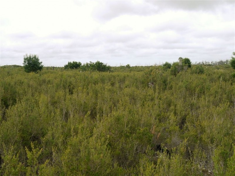 10000 Reekara Road, Reekara TAS 7256